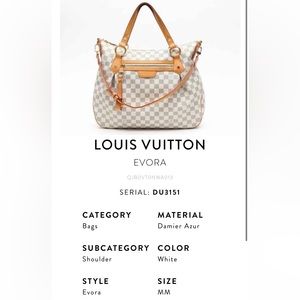 Louis Vuitton Evora MM Bag
